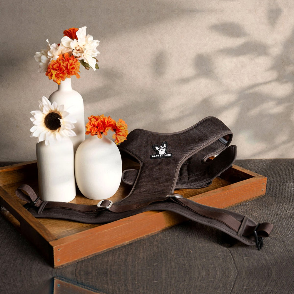 The Bark & Tonic Signature cooling dog harness styled on a wooden tray with dried flowers